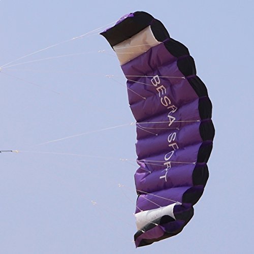 Besra New Arrival Huge 74inch Dual Line Parachute Stunt Kite with Flying Tools 1.9m Power Parafoil Kitesurfing Training kites Outdoor Fun Sports for Beach (74inch Purple)
