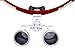 Zinnor Dentist Dental Surgical Medical Binocular Loupes Optical Glass Loupe 3.5X420mm (FBA Delivery)