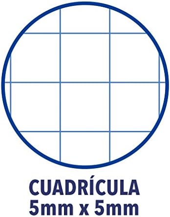 Classic - Pack de 5 cadernos duplos de capa dura extra, A4+