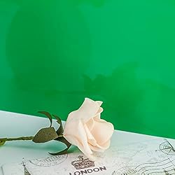 Enoin 2 Pack 12x12 Inches Green Non Transparent
