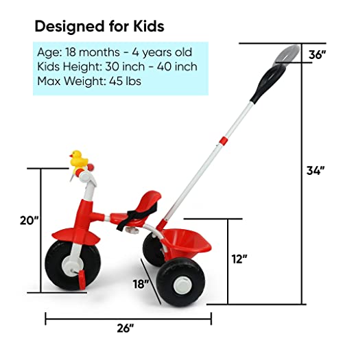 KRIDDO 2 in 1 Kids Tricycles Age 18 Month to 3 Years, Gift Toddler Tricycles for 2 3 Year Olds
