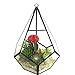 Imagine Branch Rustic Geometric Glass Terrarium - Indoor/Outdoor Industrial Finish (Glass, 10 Inch Tear Drop)