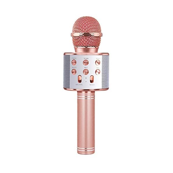 Dream Fun Girls Toys Age 6 7 8 9 10, Wireless Microphones for Kids Gifts for Girls 5-12 Year Old Handheld Bluetooth…