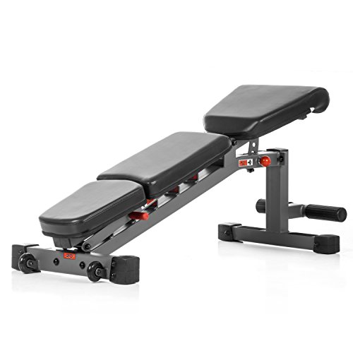 XMark Adjustable Weight Benches, Full Incline Decline Exercise Bench