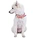 Blueberry Pet Leather Dog Collar for Large Dogs - Pink & Grey Classic Striped Design, Large Size 18