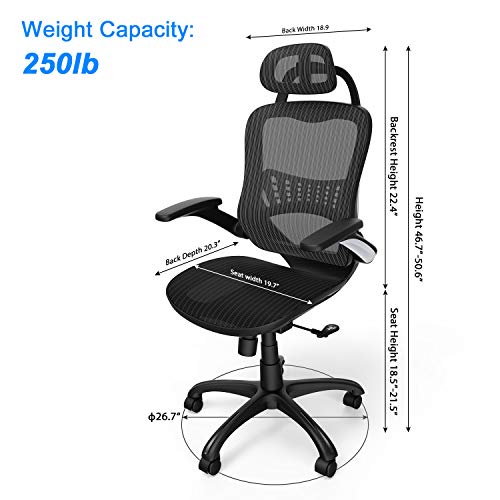 Ergonomic Office Chair, Weight Capacity Over 300Ibs Passed BIFMA