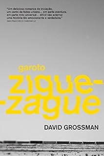 Livro Garoto zigue-zague