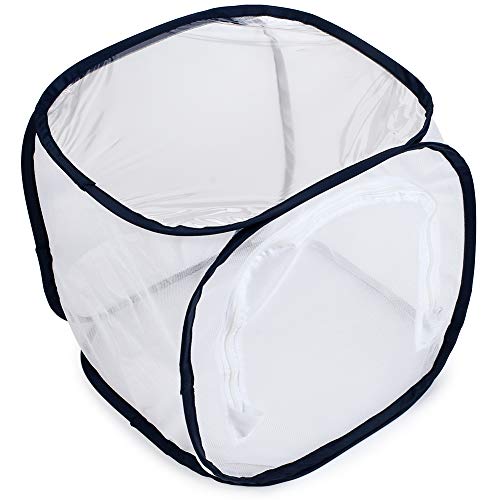 5 Insect+Butterfly+Habitat+Terrarium+Pop+up