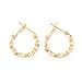 Followmoon 18K Gold Plated Women's Rope Hoop Earrings 20mm-50mm (20mm Rope Hoop Earrings)