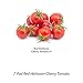 AeroGarden Red Heirloom Cherry Tomato Seed Pod Kitthumb 3