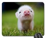 IFUOFF Mousepad, Non-Slip Rubber Mouse Pad Baby Pig Mouse Pad Mat