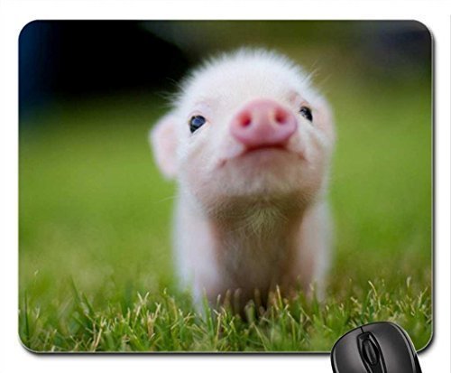 IFUOFF Mousepad, Non-Slip Rubber Mouse Pad Baby Pig Mouse Pad Mat