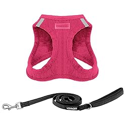 Voyager Step-in Plush Dog Harness – Soft