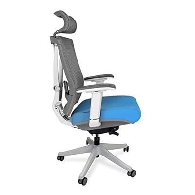 Ergonomic Office Chair Autonomous Ergochair Amazon Uk Blue