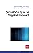 Qu'est-ce que le digital labor ?: Les enjeux de la production de valeur sur Internet et la qualifica by 