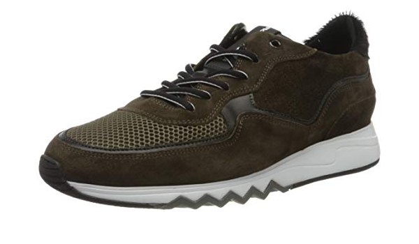 Floris van Bommel Men's 16093/15 Low-Top Sneakers, Green (Dark Green Suede  Combi 15), 12.5 UK : Amazon.com.au: Clothing, Shoes \u0026 Accessories