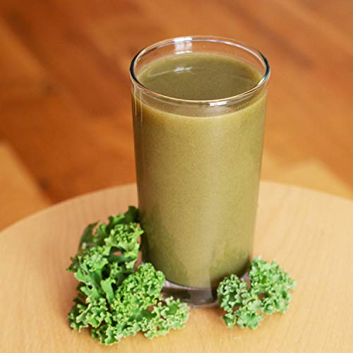 SB Organics Kale Powder - USDA Organic Antioxidant-Rich Superfood with Fiber, Vitamins and Minerals - 16 oz. - Thumbnail 4