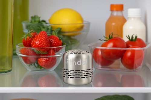 Findal Odor Absorber - Fridge Deodorizer and Odor Remover – Lasts up to 10 Years - Stainless Steel Odor Eliminator – Non-Toxic Air Purifier for Refrigerator, Closet, & Car