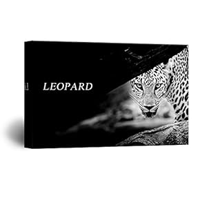Canvas Wall Art - Leopard Staring at The Right Front - Giclee Print Gallery Wrap Modern Home Art Ready to Hang - 12x18 inches