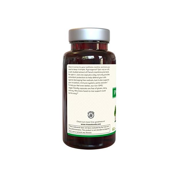Viva Naturals Pycnogenol 100mg from French Maritime Pine Bark Extract