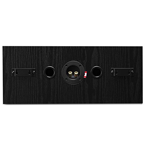 Fluance Signature HiFi 2Way Center Channel Speaker for Enhanced