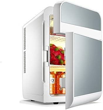 Mini Fridge, ECVILLA Coolbox 2 Door Compact Refrigerator Cooler and Warmer (20 Liter) for Home Office Car or Boat - 12V DC and 110V AC (Silver)