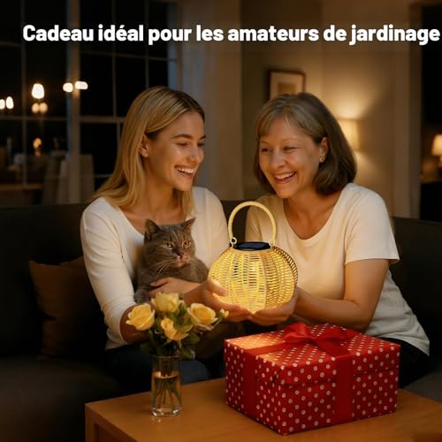 KagoLing Outdoor Solar Lamp, 2 Solar Lanterns Outdoor Waterproof IP65 Hanging Light, Garden Decoration, Suitable for Balconies, Patios, Courtyards and Camping Parties, Gardening Gifts