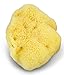 Fina Silk Sponge for Babies - Real Premium Natural Sea Sponge, 4