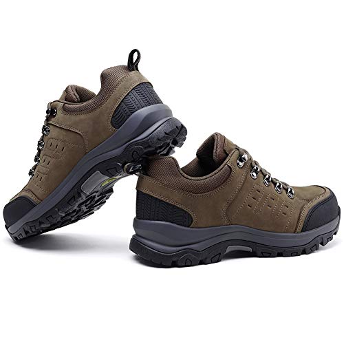 camel crown hiking shoes