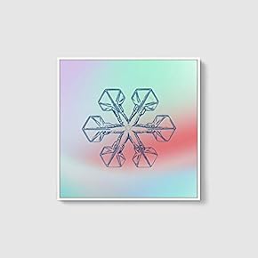 Framed Canvas Wall Art for Living Room, Bedroom Snowflake Theme Canvas Prints for Home Decoration Ready to Hang - 16x16 inches