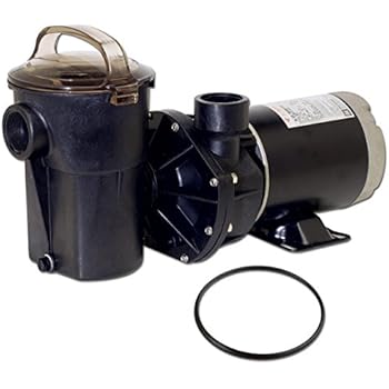 Amazon.com : Hayward SP1580X15 Power-Flo LX Series 1-1/2