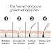 Eyelash Growth Serum LINTEC 100% Natural Brow Lash