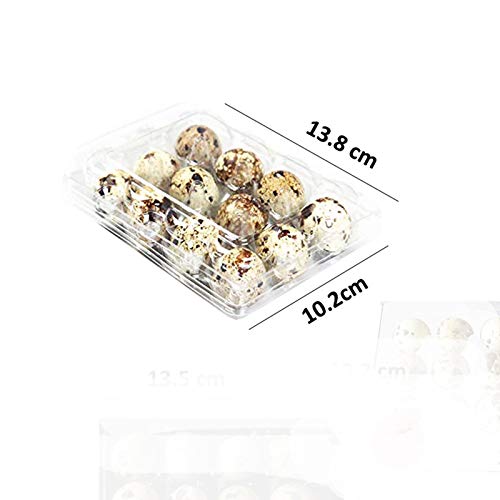 Quail Egg Kartons, 50 Stück, Wachteleier, wiederverwendbar, ecyclebarer Kunststoff Eierkarton für den Kühlschrank, jeder Platz für 12 kleine Wachteleier, Fasan oder Grouse – Bild 3