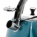 Mr. Coffee Belgrove 2.5 Quart Stainless Steel Tea Kettle, Turquoise