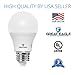 Great Eagle A19 LED Light Bulbs 100 Watt Equivalent - Cool White 4000K Light Bulbs, 15W Non-Dimmable, 1500 Lumens (6 Pack)
