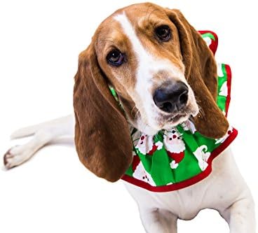 Rrruffler Santa Paws Decorative Collar/ Costume For Dogs, Large
