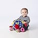 Manhattan Toy Whoozit Rattle and Squeaker Sound Developmental Baby Toy