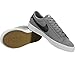 Nike Men's SB Zoom Dunk Low Pro Skate Shoe