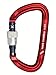 Rock Exotica rockD Locking Carbiner - Screw-Lock