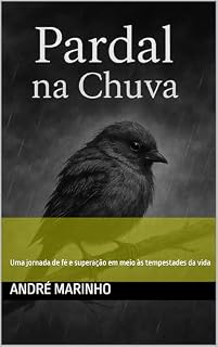 Livro Pardal na Chuva: Uma jornada de fé e superação em meio às tempestades da vida