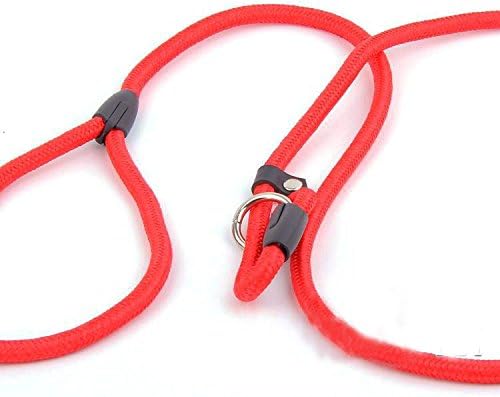 VKOPA Nylon Rope Dog Whisperer Cesar Slip Training Leash Lead and Collar (L, red)
