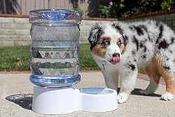 PetFusion H2O Gravity Pet Water Dispenser. Durable