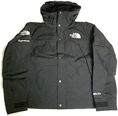 supreme x the north face arc logo mountain parka