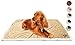 Kritter Planet Dog Blankets for Small Dogs, Soft Puppy Blanket, Pet Blankets for Cats, Lightweight & Washable, Perfect for Dog Beds, Car Seats, Creat, 30x40 inches