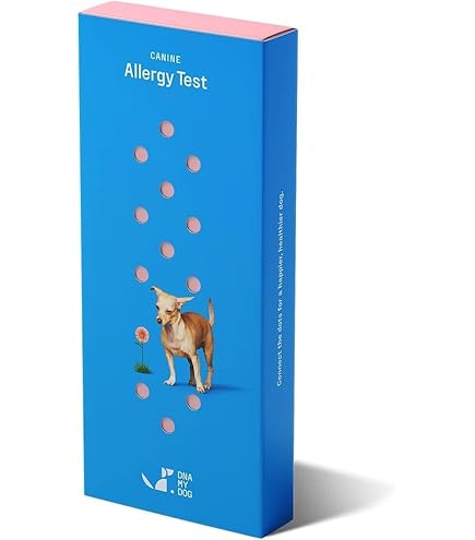 Basepaws Dog DNA Testing Kit - 300+ Breeds, 280+ Health Risks, 30+ Traits - Comprehensive Mixed Breed & Health Analysis