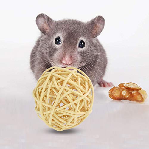 6 Wobe+Chinchilla+Hamster+Dumbells+Exercise