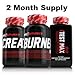 SHREDZ® Alpha Male Supplements (2 Month Supply) – Build Muscle, Boost Performance, Best Gains!