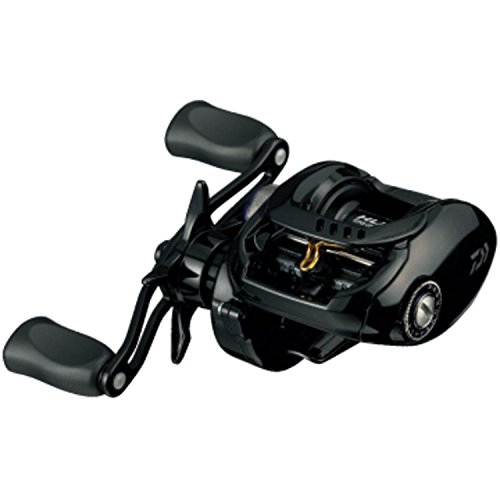 ダイワ(Daiwa) ベイトリール 15 タトゥーラ HLC 8.1R-TWの商品画像