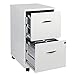 Scranton & Co 2 Drawer Steel Mobile File Cabinet in Pure White