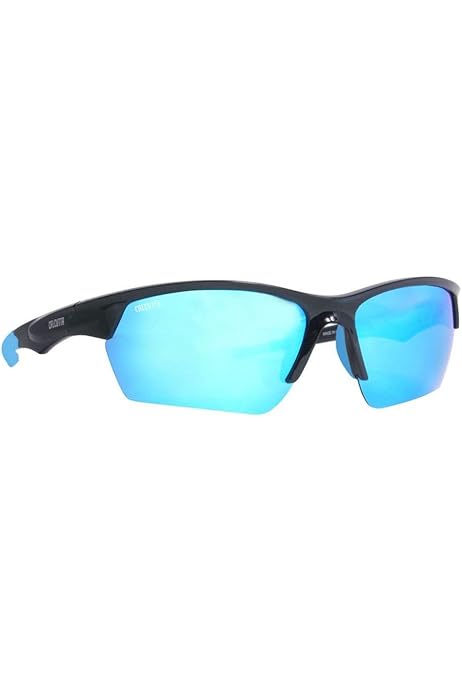 first polarized sunglasses